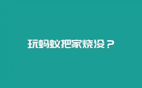 玩蚂蚁把家烧没?插图 玩蚂蚁把家烧没?插图
