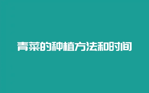青菜的种植方法和时间-会东网