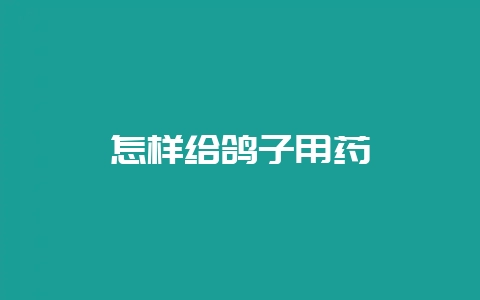 怎样给鸽子用药-会东网