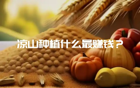 凉山种植什么最赚钱？-会东网