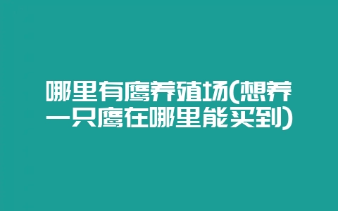 哪里有鹰养殖场(想养一只鹰在哪里能买到)插图 哪里有鹰养殖场(想养一只鹰在哪里能买到)插图