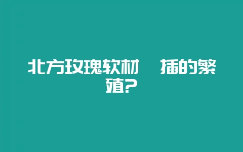 北方玫瑰软材扦插的繁殖?-会东网