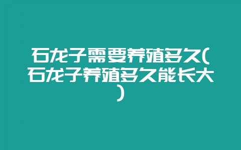 石龙子需要养殖多久(石龙子养殖多久能长大)插图 石龙子需要养殖多久(石龙子养殖多久能长大)插图