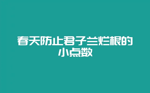 春天防止君子兰烂根的小点数-会东网