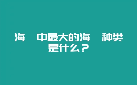 海豚中最大的海豚种类是什么？-会东网
