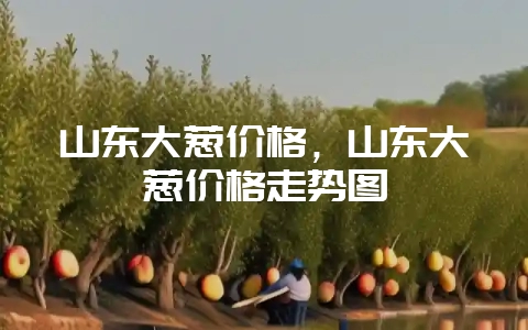 山东大葱价格，山东大葱价格走势图-会东网