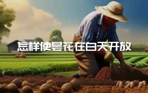 怎样使昙花在白天开放-会东网