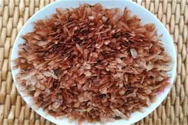 香椿种子多少钱一斤,什么时候种怎么种植?-会东网