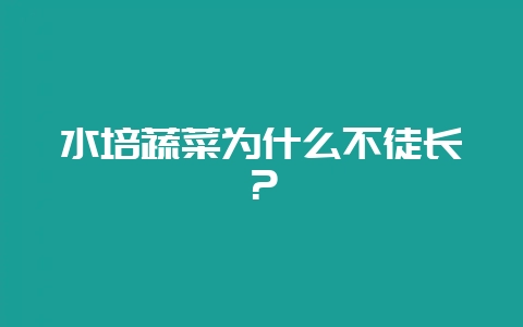 水培蔬菜为什么不徒长？-会东网