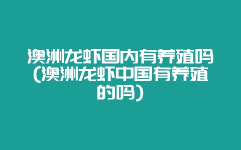澳洲龙虾国内有养殖吗(澳洲龙虾中国有养殖的吗)-会东网