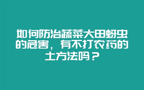 如何防治蔬菜大田蚜虫的危害，有不打农药的土方法吗？-会东网