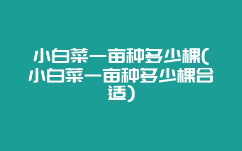小白菜一亩种多少棵(小白菜一亩种多少棵合适)-会东网