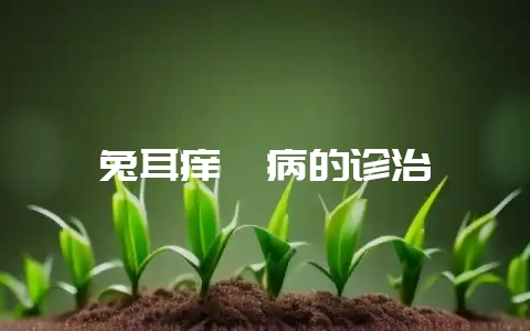 兔耳痒螨病的诊治-会东网
