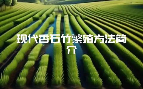 现代香石竹繁殖方法简介-会东网