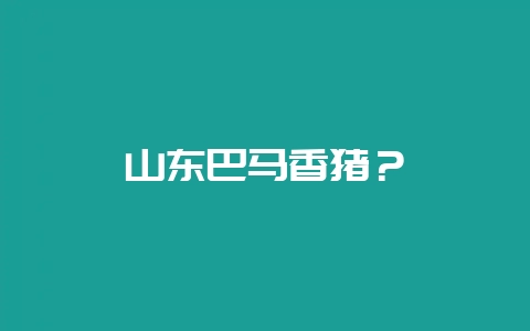山东巴马香猪？-会东网