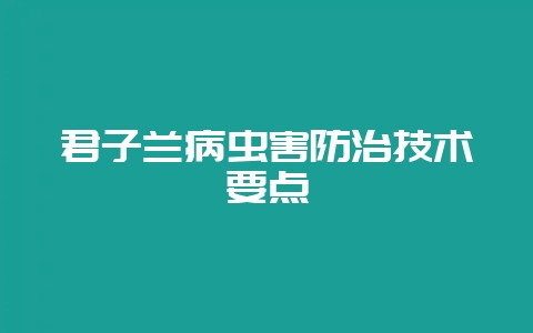 君子兰病虫害防治技术要点插图 君子兰病虫害防治技术要点插图