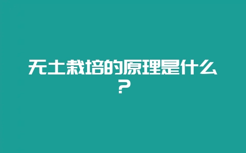 无土栽培的原理是什么?插图 无土栽培的原理是什么?插图