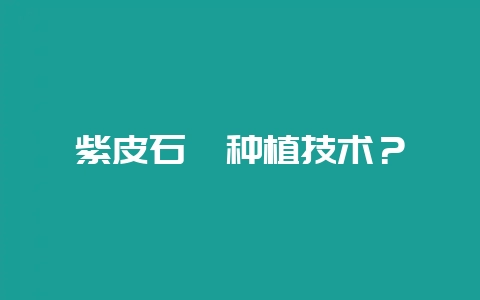 紫皮石斛种植技术？-会东网