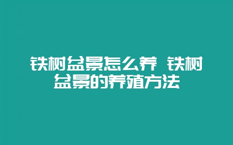 铁树盆景怎么养 铁树盆景的养殖方法-会东网