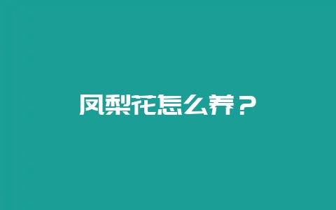 凤梨花怎么养？-会东网