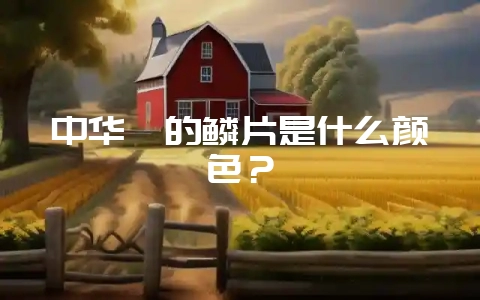 中华鲟的鳞片是什么颜色？-会东网