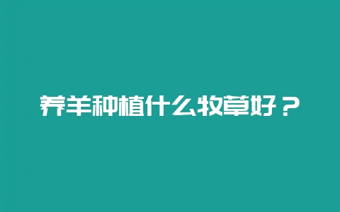养羊种植什么牧草好？-会东网