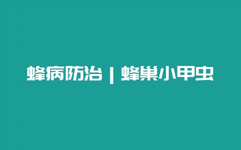 蜂病防治｜蜂巢小甲虫-会东网
