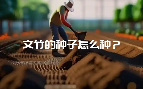 文竹的种子怎么种？-会东网