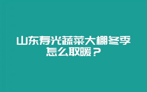 山东寿光蔬菜大棚冬季怎么取暖？-会东网