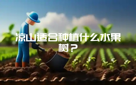 凉山适合种植什么水果树?插图 凉山适合种植什么水果树?插图