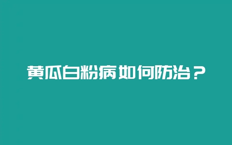 黄瓜白粉病如何防治？-会东网
