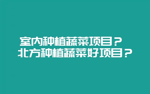 室内种植蔬菜项目？ 北方种植蔬菜好项目？-会东网
