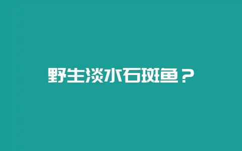野生淡水石斑鱼？-会东网