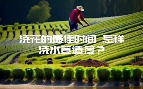 浇花的最佳时间 怎样浇水算适度?插图 浇花的最佳时间 怎样浇水算适度?插图