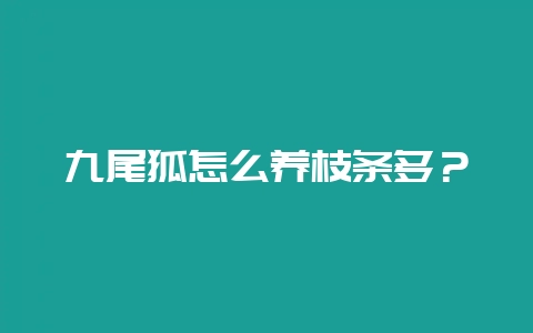 九尾狐怎么养枝条多？-会东网
