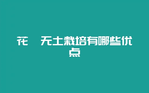 花卉无土栽培有哪些优点-会东网