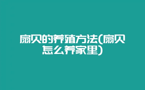扇贝的养殖方法(扇贝怎么养家里)插图 扇贝的养殖方法(扇贝怎么养家里)插图