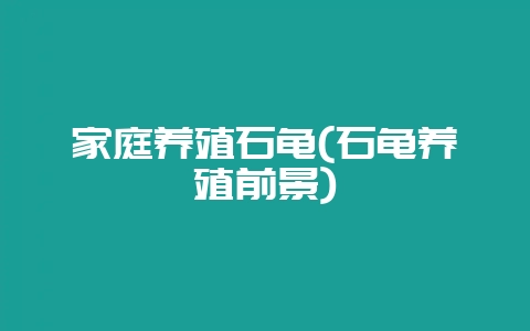 家庭养殖石龟(石龟养殖前景)-会东网