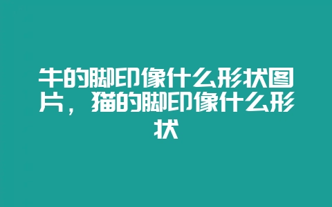 牛的脚印像什么形状图片，猫的脚印像什么形状-会东网