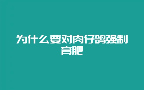 为什么要对肉仔鸽强制育肥-会东网