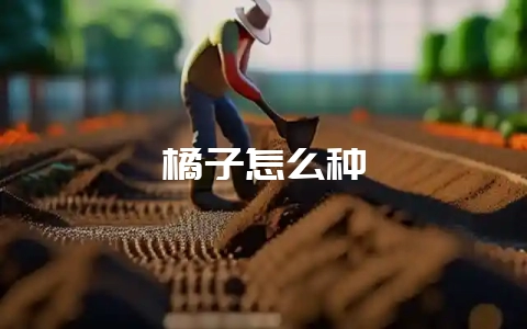 橘子怎么种-会东网