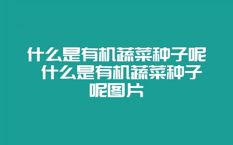 什么是有机蔬菜种子呢 什么是有机蔬菜种子呢图片-会东网