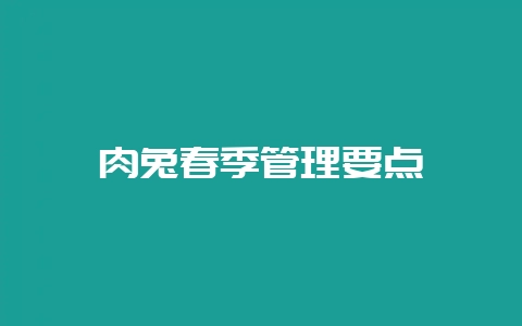 肉兔春季管理要点-会东网
