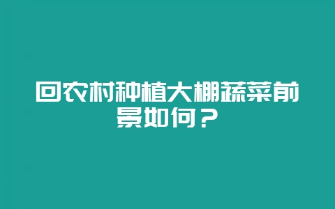 回农村种植大棚蔬菜前景如何？-会东网