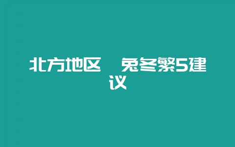 北方地区獭兔冬繁5建议-会东网