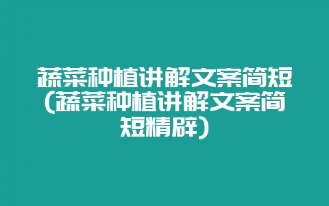 蔬菜种植讲解文案简短(蔬菜种植讲解文案简短精辟)-会东网