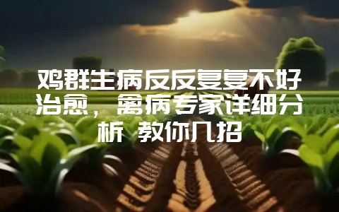 鸡群生病反反复复不好治愈,禽病专家详细分析 教你几招-会东网