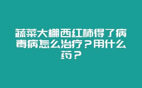 蔬菜大棚西红柿得了病毒病怎么治疗？用什么药？-会东网