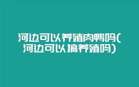 河边可以养殖肉鸭吗(河边可以搞养殖吗)-会东网