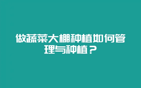 做蔬菜大棚种植如何管理与种植?插图 做蔬菜大棚种植如何管理与种植?插图